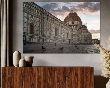 Doves at the Duomo of Florence - Italy by Roy Poots