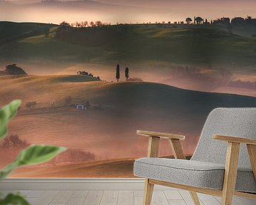 Golden sunrise in the hills of Tuscany. by Daniel Gastager