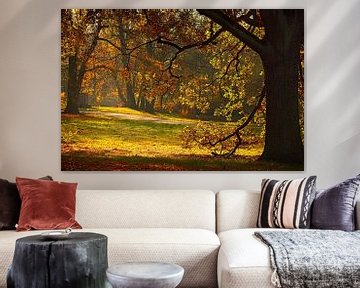 Herbst mit seinem bunten Blättern. von Dieter Ludorf
