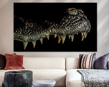 Krokodillen: close up bovenkaak van Rob Smit
