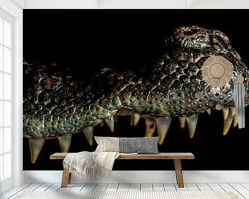 Krokodillen: close up bovenkaak van Rob Smit