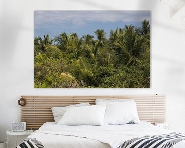 Tropical palm trees | nature | La Ventanilla | Mexico by Kimberley Helmendag
