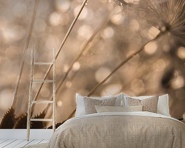 The fluff of a fluff ball with droplets (dandelion) by Marjolijn van den Berg