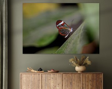 Glasvlinder met kleurenpalet in de vleugels van Inge Bogaards