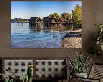 Lake Dwelling Museum Unteruhldingen aan de Bodensee van Werner Dieterich