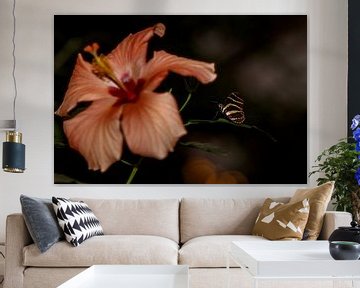 Hibiscus with surprise by Inge Bogaards