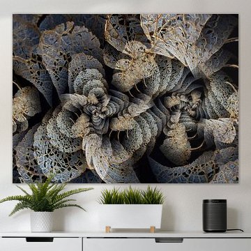 Hydrangea twist by Klaartje Majoor