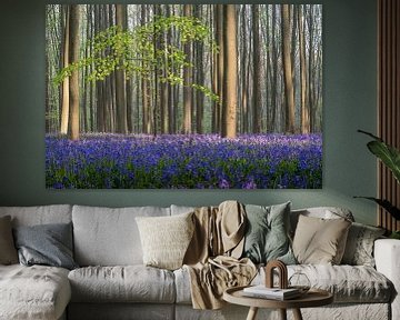 The Haller forest with wild Hyacinths by Karl Smits