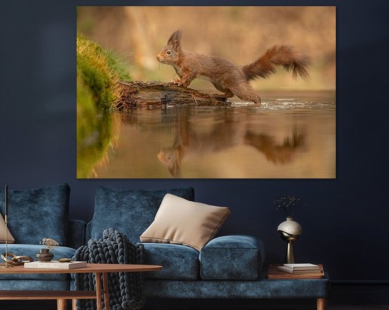 Aperçu de la chambre