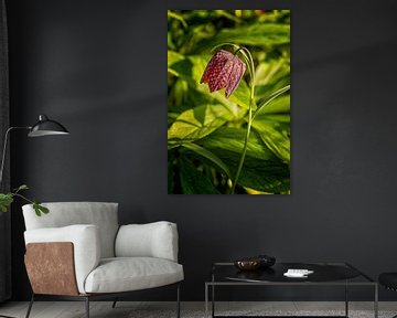 kivietsbloem by Marly De Kok