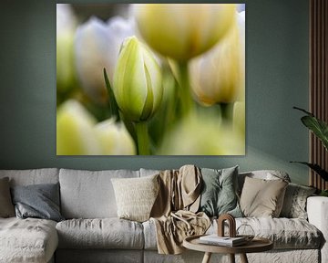 Middelpunt  witte tulp van Marly De Kok