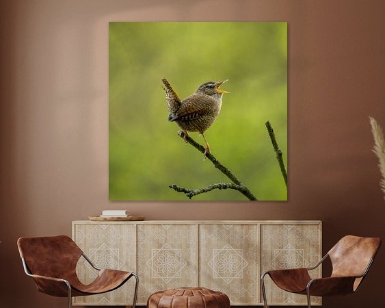 Voorbeeld van het werk in een kamer