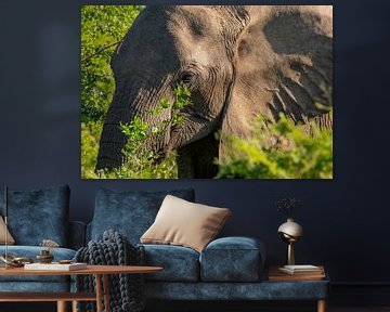 Baby olifantjes in Hluhluwe Nationaal Park Zuid-Afrika van SHDrohnenfly