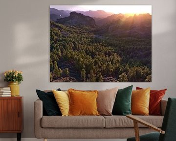 Schroffe Berge und Kiefernwälder, Gran Canaria von Timon Schneider