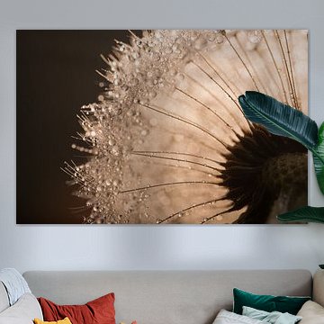 Warme Braun- und Champagnertöne: Licht fällt durch einen Pusteblume von Marjolijn van den Berg