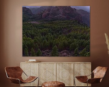 Kiefernwälder in der Dämmerung, Gran Canaria von Timon Schneider