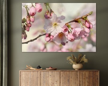 Japanese cherry blossom by Violetta Honkisz