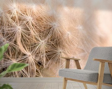 Dandelion fluff in warm light by Marjolijn van den Berg