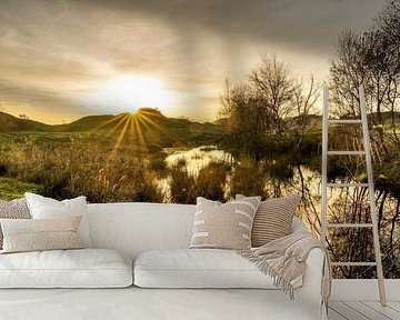 Setting sun in the Soap Dunes by Paula Romein