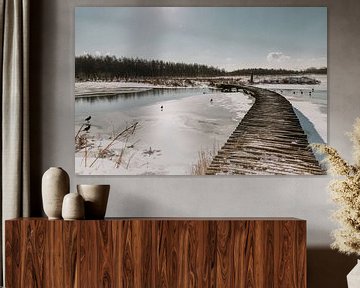 Un jour d'hiver dans les sphères néerlandaises sur Sanne Vermeulen