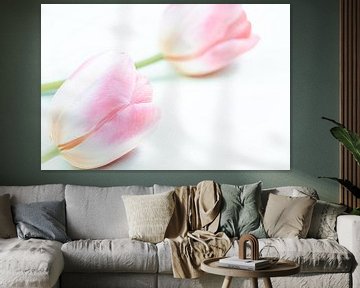 roze tulpen geven rust van Kay Mezarina Photography