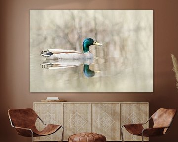 Duck with reflection by Jacqueline Gerhardt