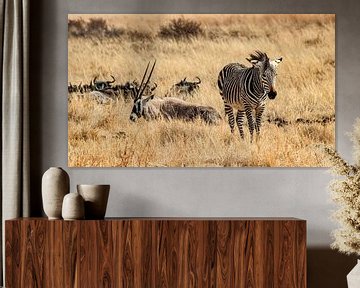 Zebra: Landschap Afrika...