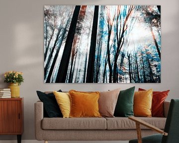 Winter im Wald von FRESH Fine Art