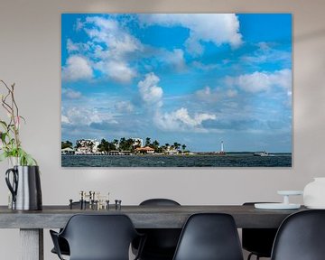 Strand und Palmen in Belize von Dieter Walther