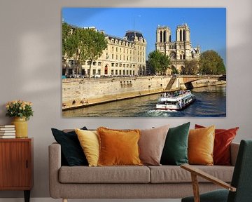 Notre-Dame met rondvaart op de Seine van Dennis van de Water