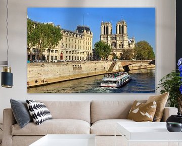 Notre-Dame met rondvaart op de Seine van Dennis van de Water