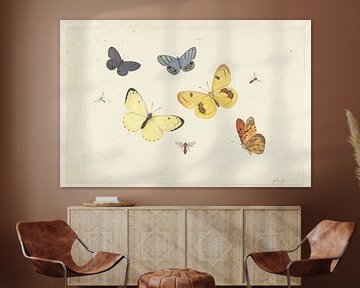 Studieblad met vijf vlinders, een wesp en twee vliegen, Pieter