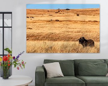 Wildebeest "Alone" von Rob Smit