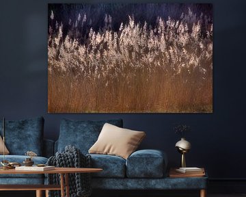 Nature morte aux roseaux