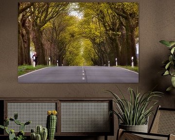 Le printemps au milieu de la rue