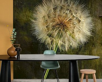 Still Life with Flower. Fluff ball 1 by Alie Ekkelenkamp