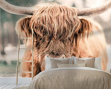 Schotse Hooglander in de sneeuw tijdens in een bos van Sjoerd van der Wal Fotografie