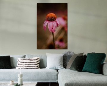 Kleurrijke bloemen van de A vogel tuinen | natuur fotografie van Anouk Strijbos