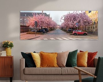 Japanese cherry tree in Ghent by Marcel Derweduwen