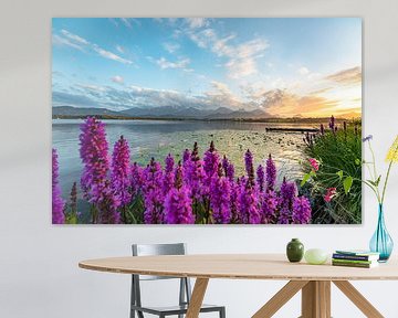 Bloemrijk uitzicht over het Hopenmeer tot aan de oostelijke Allgäuer Alpen om te zonnebaden van Leo Schindzielorz