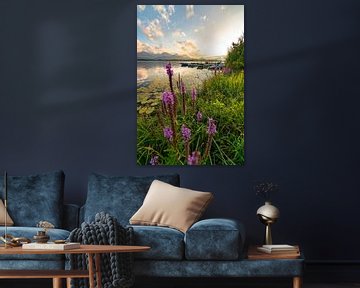 Blumiger Blick über den Hopensee auf die Allgäuer Alpen von Leo Schindzielorz