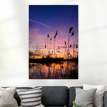 Farbpalette bei Sonnenuntergang