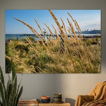 An der Strandpromenade in Binz