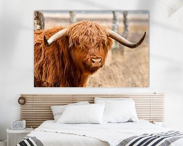 Highlander by Hilde Wekema