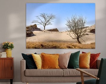 Sahara in the Northern Netherlands by Rob IJsselstein