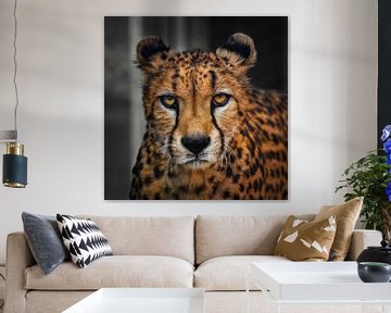 Close-up van een jachtluipaard ( cheetah ) van Chi