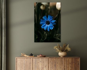 Blauwe bloem van Tessa Dommerholt