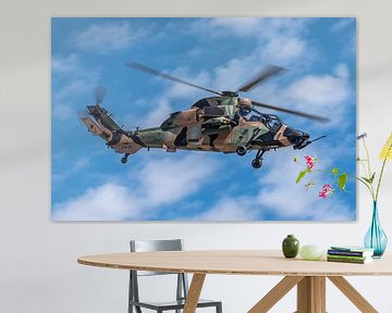 Australian Army Eurocopter Tiger attack helicopter. by Jaap van den Berg