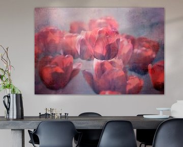 leuchtende rote Tulpen von Claudia Moeckel