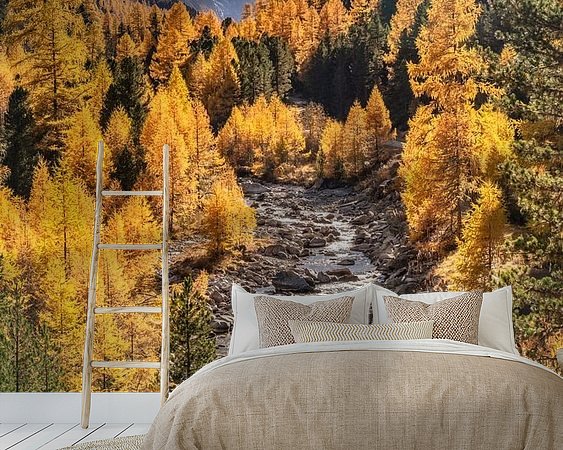 Aperçu de la chambre